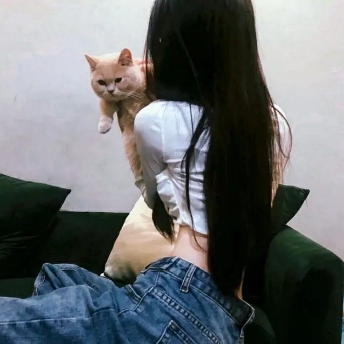 布朗蒂姊妹