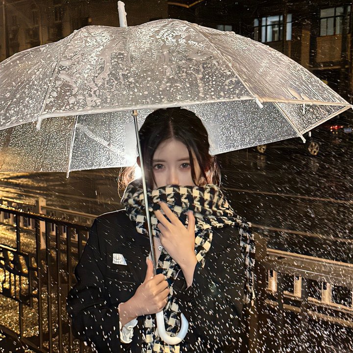 名门淑女