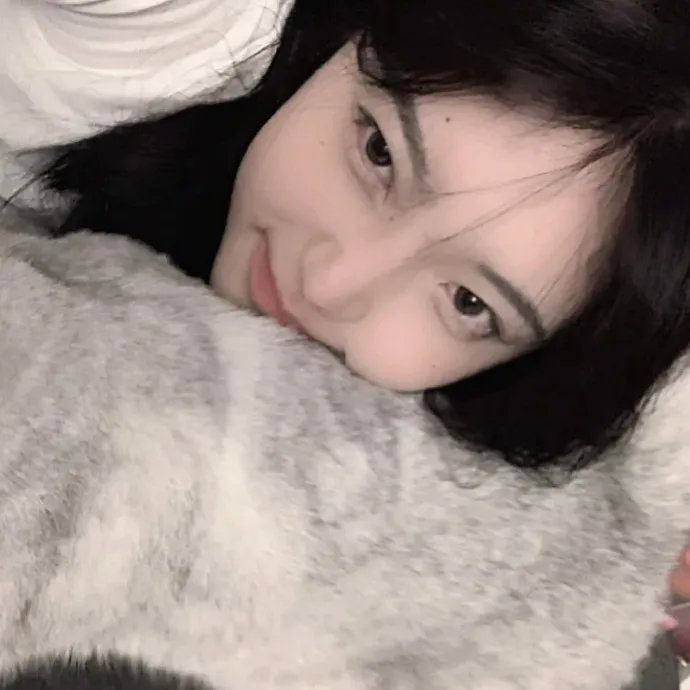 鲨鱼湖泊